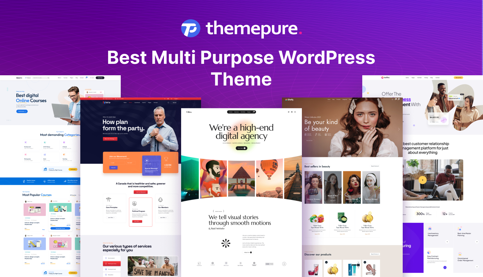 MultiPurpose WordPress Themes