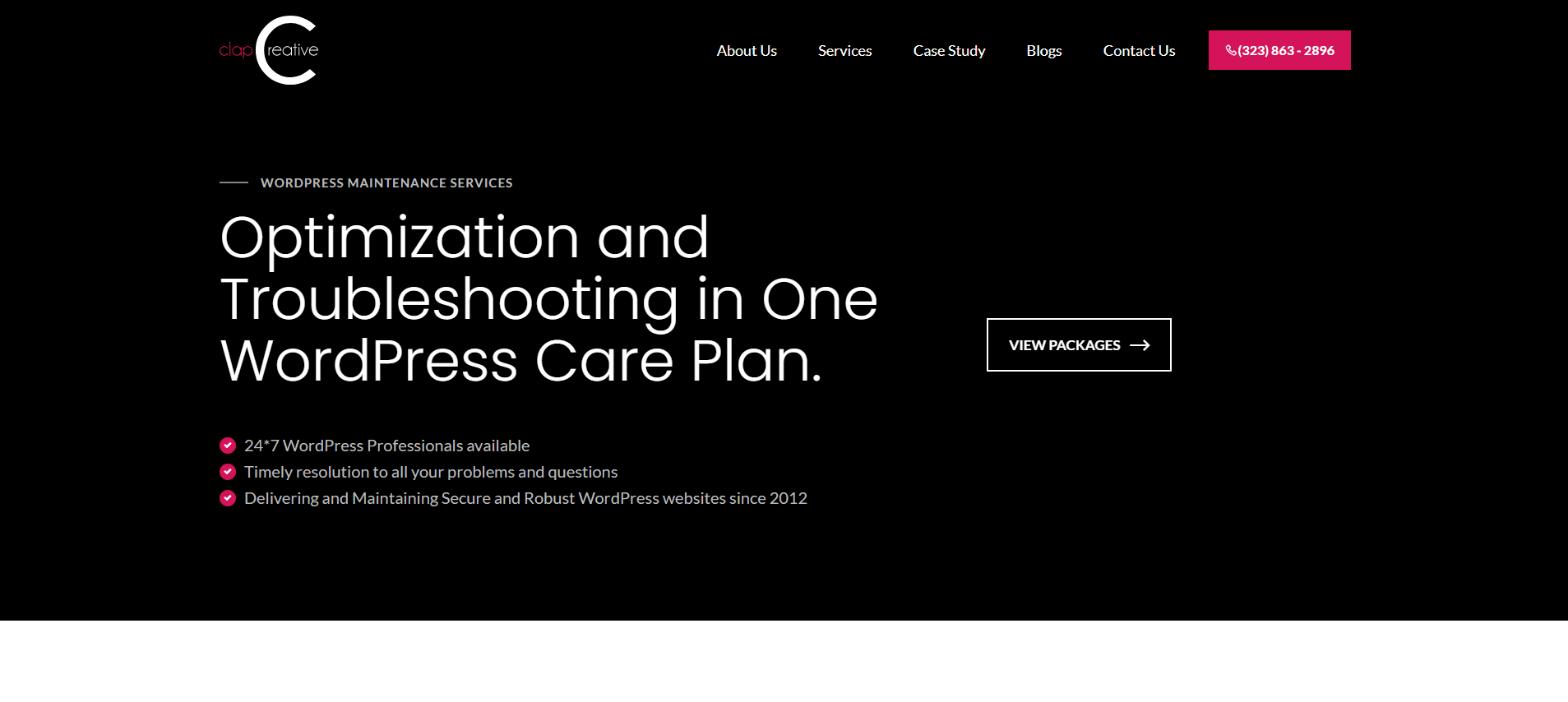 image 27 - Best 9 WordPress Maintenance Services
