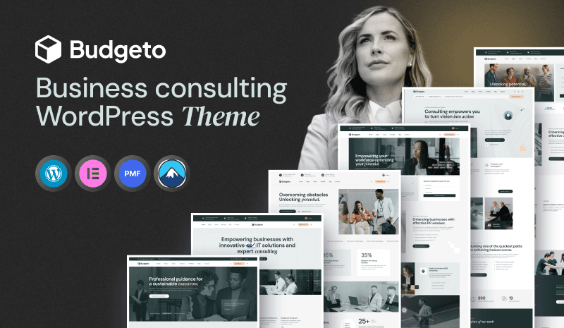 Budgeto - Business Consulting WordPress Theme